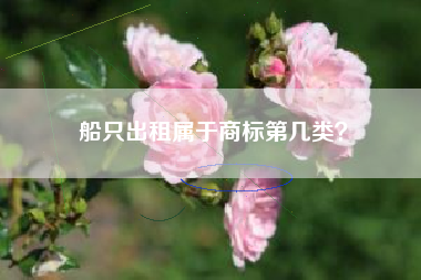 船只出租属于商标第几类？