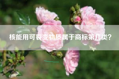 核能用可裂变物质属于商标第几类？