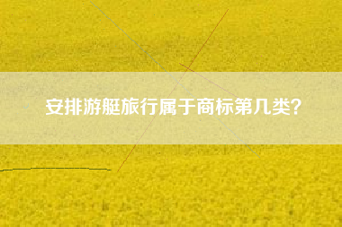 安排游艇旅行属于商标第几类？