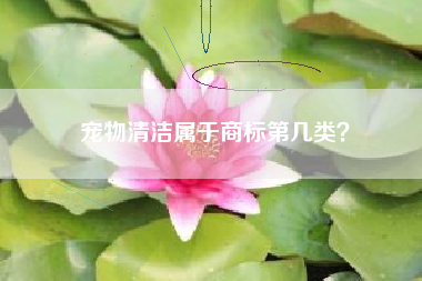 宠物清洁属于商标第几类？
