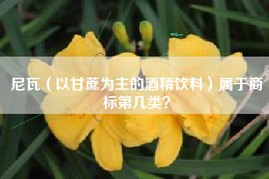 尼瓦（以甘蔗为主的酒精饮料）属于商标第几类？