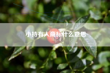 小持有人商标什么意思