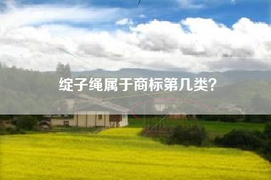 绽子绳属于商标第几类？