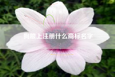 狗粮上注册什么商标名字