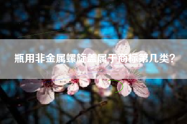 瓶用非金属螺旋盖属于商标第几类？