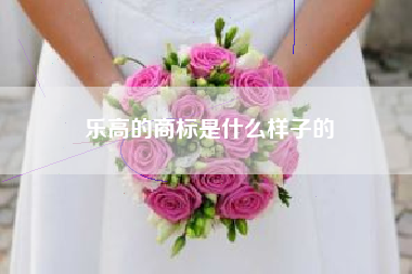 乐高的商标是什么样子的