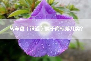转车盘（铁道）属于商标第几类？