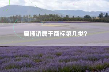 扁插销属于商标第几类？