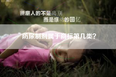 防尿制剂属于商标第几类？