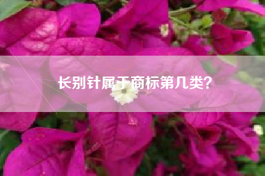 长别针属于商标第几类？