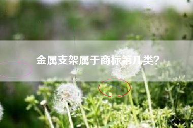 金属支架属于商标第几类？