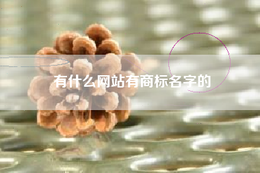 有什么网站有商标名字的
