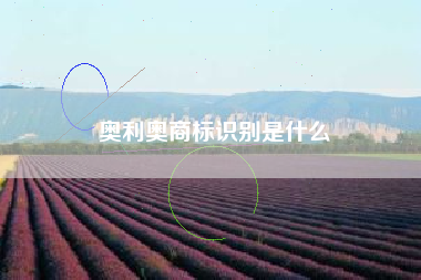 奥利奥商标识别是什么