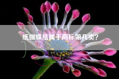 纸蝴蝶结属于商标第几类？