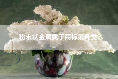 粉末状金属属于商标第几类？