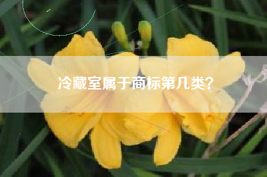 冷藏室属于商标第几类？