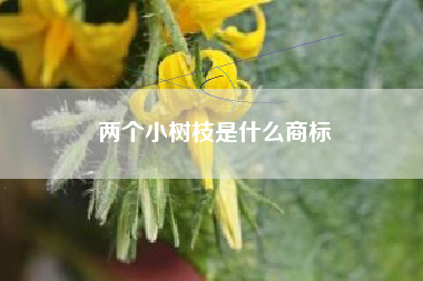 两个小树枝是什么商标