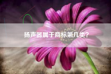 扬声器属于商标第几类？