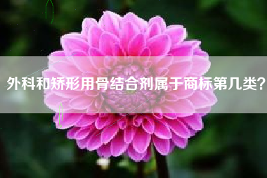 外科和矫形用骨结合剂属于商标第几类？