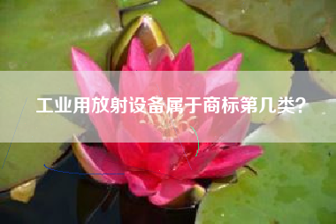 工业用放射设备属于商标第几类？