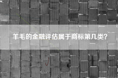 羊毛的金融评估属于商标第几类？