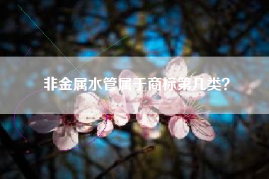 非金属水管属于商标第几类？