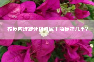 核反应堆减速材料属于商标第几类？