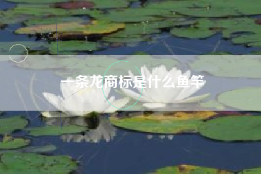 一条龙商标是什么鱼竿