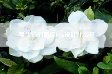 卖头饰的商标logo设计什么样