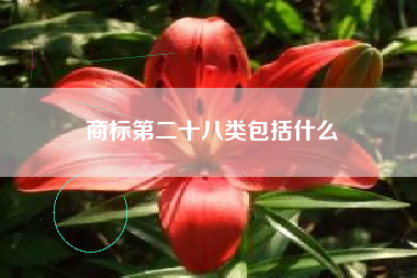 商标第二十八类包括什么