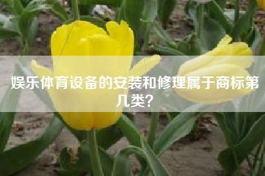 娱乐体育设备的安装和修理属于商标第几类？