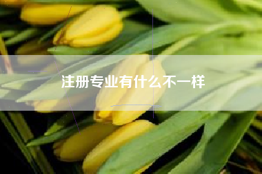 注册专业有什么不一样