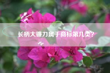 长柄大镰刀属于商标第几类？