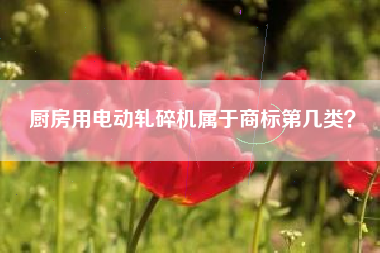 厨房用电动轧碎机属于商标第几类？