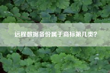 远程数据备份属于商标第几类？