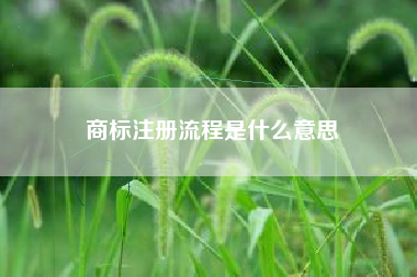 商标注册流程是什么意思