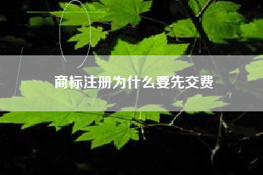 商标注册为什么要先交费 商标注册为什么要先交费