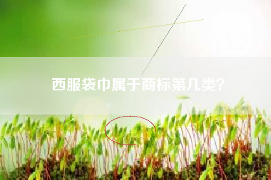 西服袋巾属于商标第几类？