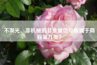 不发光、非机械的非金属信号板属于商标第几类？