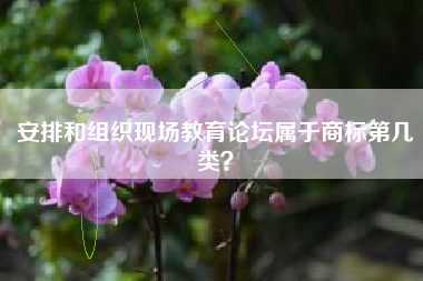 安排和组织现场教育论坛属于商标第几类？