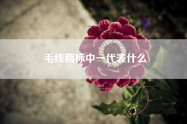 毛线商标中一代表什么