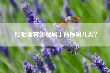照相器材修理属于商标第几类？