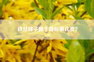 铁丝筛子属于商标第几类？