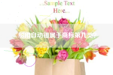 船用自动锚属于商标第几类？
