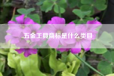 五金工具商标是什么类目