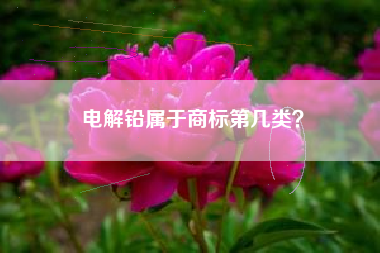 电解铅属于商标第几类？