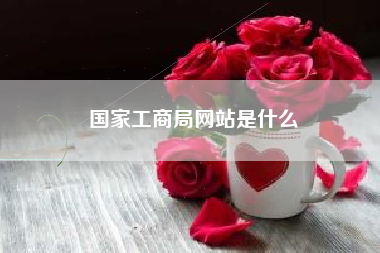 国家工商局网站是什么