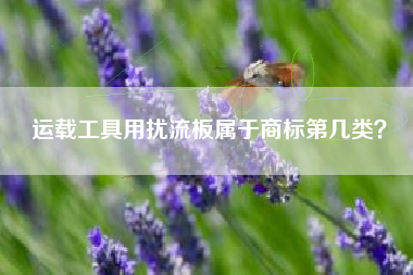运载工具用扰流板属于商标第几类？