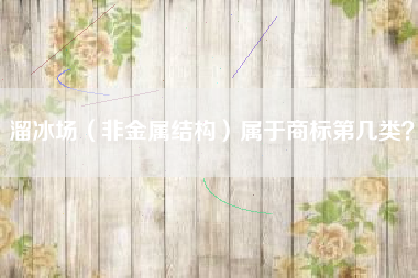 溜冰场（非金属结构）属于商标第几类？