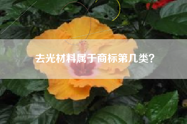 去光材料属于商标第几类？